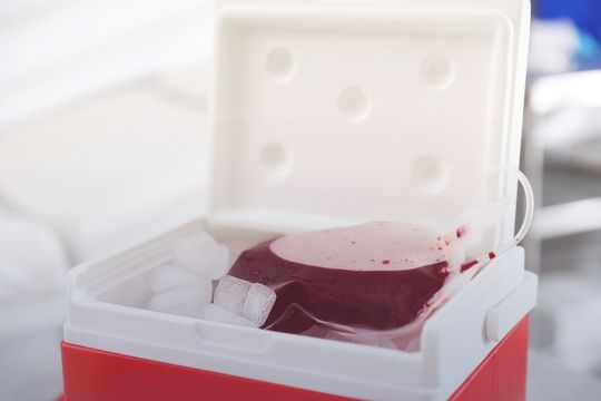 Cold Chain Equipment